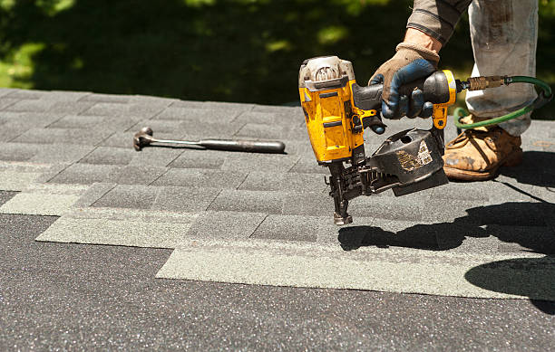 Best Roof Gutter Cleaning  in Adel, GA